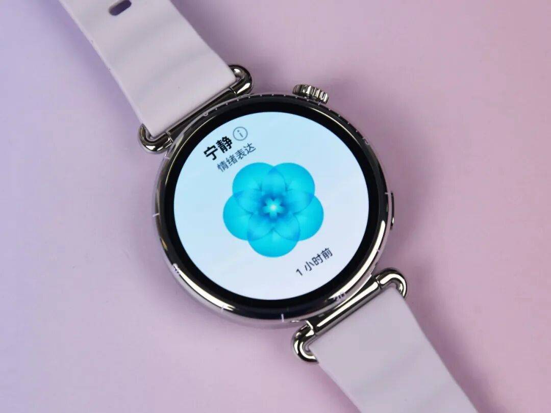 评测：2千元档位最值得买的智能手表华为WATCH GT 6系列综合(图12)
